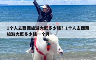 1个人去西藏旅游大概多少钱？1个人去西藏旅游大概多少钱一个月