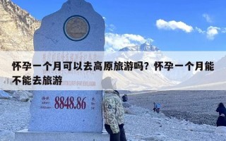 怀孕一个月可以去高原旅游吗？怀孕一个月能不能去旅游