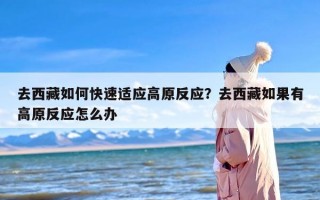 去西藏如何快速适应高原反应？去西藏如果有高原反应怎么办