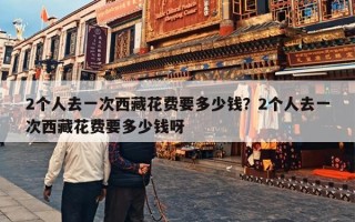 2个人去一次西藏花费要多少钱？2个人去一次西藏花费要多少钱呀