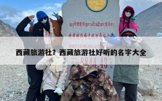 西藏旅游社？西藏旅游社好听的名字大全