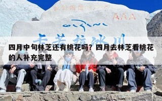 四月中旬林芝还有桃花吗？四月去林芝看桃花的人补充完整