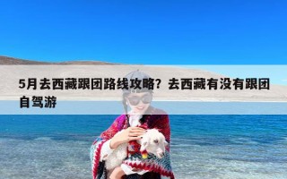 5月去西藏跟团路线攻略？去西藏有没有跟团自驾游