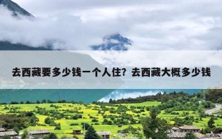 去西藏要多少钱一个人住？去西藏大概多少钱