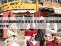 武汉去西藏拉萨坐绿皮火车攻略？武汉去西藏的火车