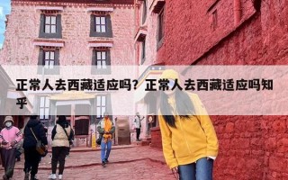 正常人去西藏适应吗？正常人去西藏适应吗知乎