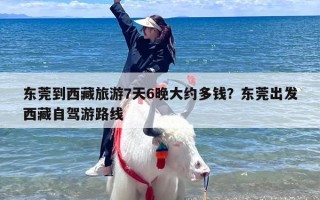 东莞到西藏旅游7天6晚大约多钱？东莞出发西藏自驾游路线