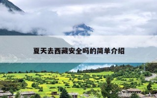 夏天去西藏安全吗的简单介绍