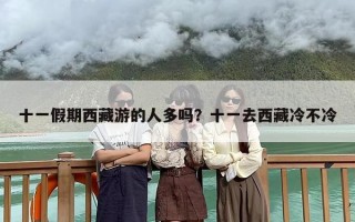 十一假期西藏游的人多吗？十一去西藏冷不冷