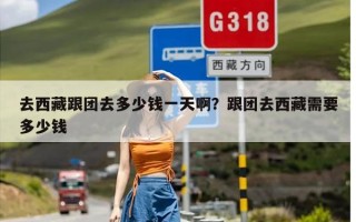 去西藏跟团去多少钱一天啊？跟团去西藏需要多少钱