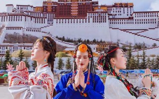 西藏旅游报团跟车自由行直播