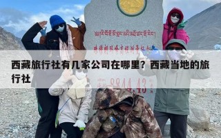 西藏旅行社有几家公司在哪里？西藏当地的旅行社