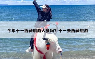 今年十一西藏旅游人多吗？十一去西藏旅游