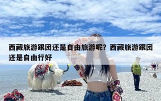 西藏旅游跟团还是自由旅游呢？西藏旅游跟团还是自由行好