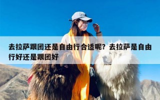 去拉萨跟团还是自由行合适呢？去拉萨是自由行好还是跟团好