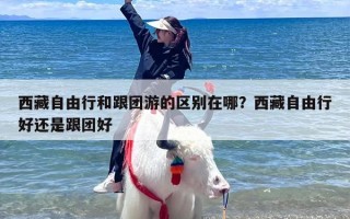 西藏自由行和跟团游的区别在哪？西藏自由行好还是跟团好