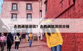 去西藏旅游团？去西藏旅游团价格