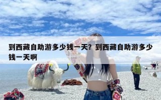 到西藏自助游多少钱一天？到西藏自助游多少钱一天啊