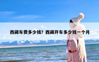 西藏车费多少钱？西藏开车多少钱一个月