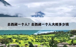 去西藏一个人？去西藏一个人大概多少钱