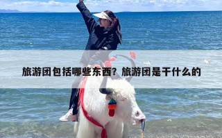 旅游团包括哪些东西？旅游团是干什么的