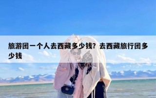 旅游团一个人去西藏多少钱？去西藏旅行团多少钱