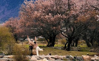 4月准备3000跟团西藏旅游够吗？四月去西藏跟团准备3000够不？