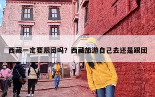 西藏一定要跟团吗？西藏旅游自己去还是跟团