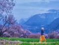 波密到林芝要多长时间