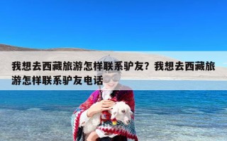 我想去西藏旅游怎样联系驴友？我想去西藏旅游怎样联系驴友电话