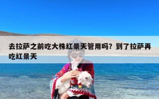 去拉萨之前吃大株红景天管用吗？到了拉萨再吃红景天
