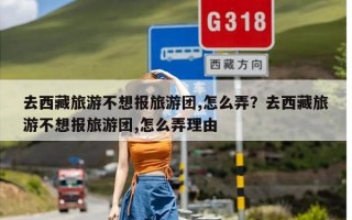 去西藏旅游不想报旅游团,怎么弄？去西藏旅游不想报旅游团,怎么弄理由