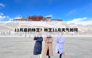 11月底的林芝？林芝11月天气如何