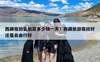 西藏报团去旅游多少钱一天？西藏旅游报团好还是自由行好