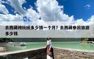去西藏纯玩团多少钱一个月？去西藏参团旅游多少钱