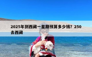 2025年到西藏一星期预算多少钱？250去西藏
