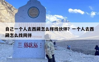 自己一个人去西藏怎么样找伙伴？一个人去西藏怎么找同伴