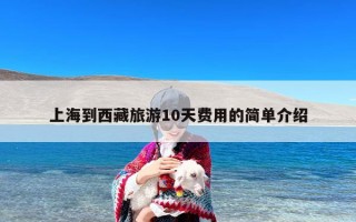 上海到西藏旅游10天费用的简单介绍