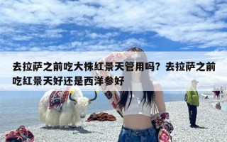 去拉萨之前吃大株红景天管用吗？去拉萨之前吃红景天好还是西洋参好
