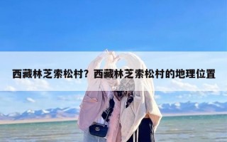 西藏林芝索松村？西藏林芝索松村的地理位置