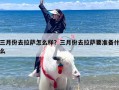 三月份去拉萨怎么样？三月份去拉萨要准备什么