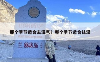那个季节适合去湿气？哪个季节适合祛湿