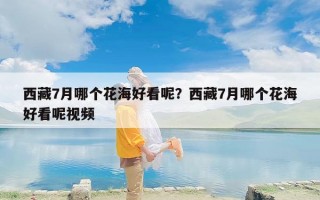 西藏7月哪个花海好看呢？西藏7月哪个花海好看呢视频