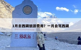 1月去西藏旅游费用？一月自驾西藏