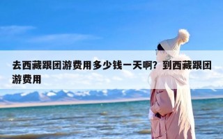 去西藏跟团游费用多少钱一天啊？到西藏跟团游费用