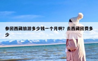 参团西藏旅游多少钱一个月啊？去西藏团费多少
