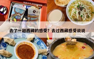 去了一趟西藏的感受？去过西藏感受说说