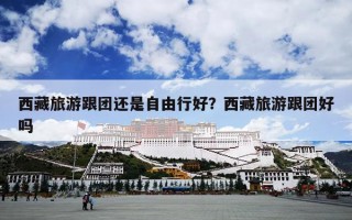 西藏旅游跟团还是自由行好？西藏旅游跟团好吗