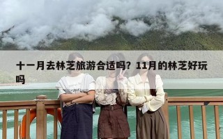 十一月去林芝旅游合适吗？11月的林芝好玩吗