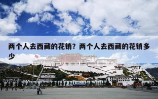 两个人去西藏的花销？两个人去西藏的花销多少